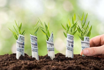 Embracing uncertainty in the investment world for long-term gain